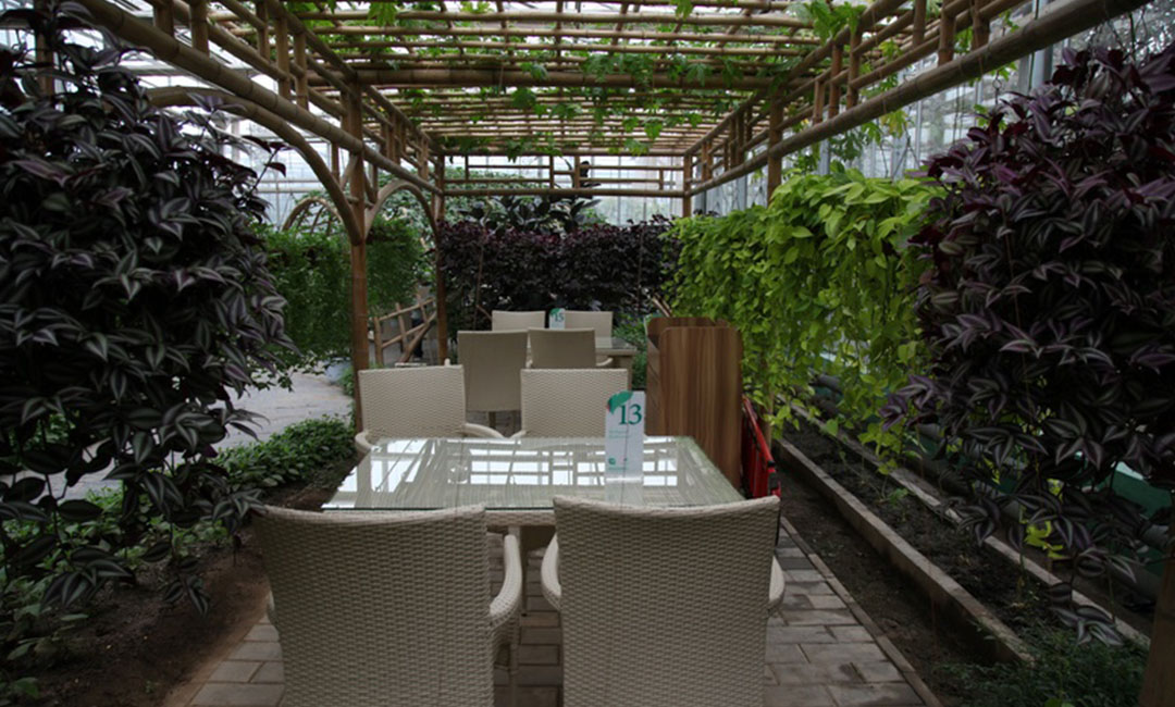 北碚康柏宇品牌文案撰写案例